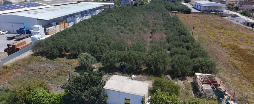 For sale within BIOPA Finikia, unique open area of 11,361 sq m. Heraklion property main image