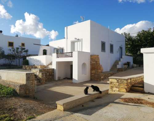 new property image