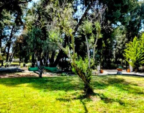 new property image