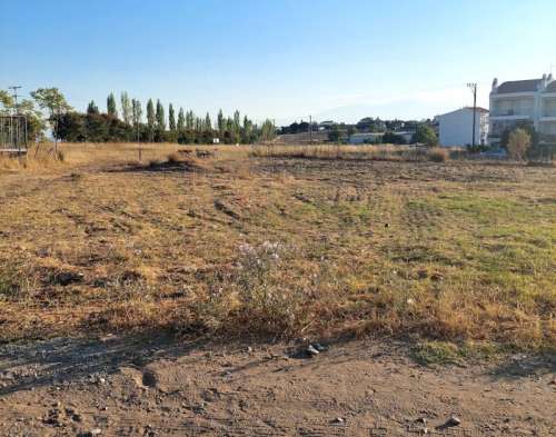 new property image