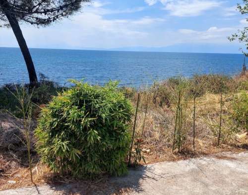 new property image
